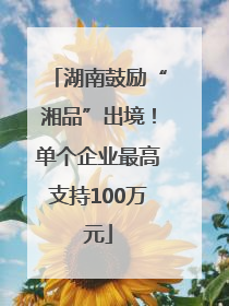 湖南鼓励“湘品”出境！单个企业最高支持100万元