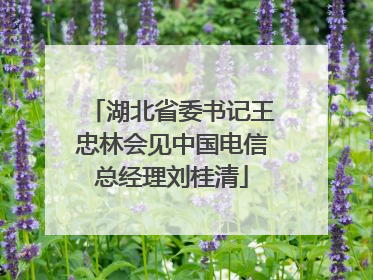 湖北省委书记王忠林会见中国电信总经理刘桂清