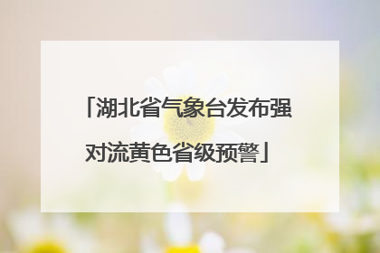 湖北省气象台发布强对流黄色省级预警