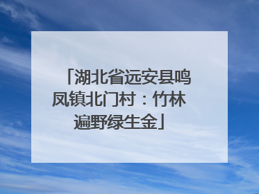 湖北省远安县鸣凤镇北门村：竹林遍野绿生金