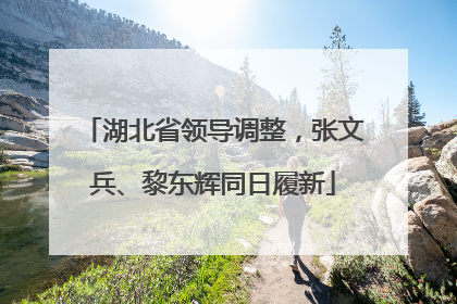 湖北省领导调整，张文兵、黎东辉同日履新
