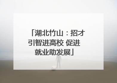 湖北竹山：招才引智进高校 促进就业助发展