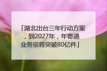 湖北出台三年行动方案，到2027年，年寄递业务量将突破80亿件