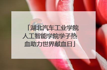 湖北汽车工业学院人工智能学院学子热血助力世界献血日