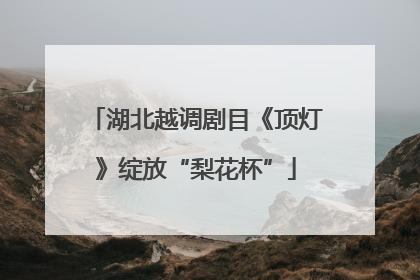 湖北越调剧目《顶灯》绽放“梨花杯”