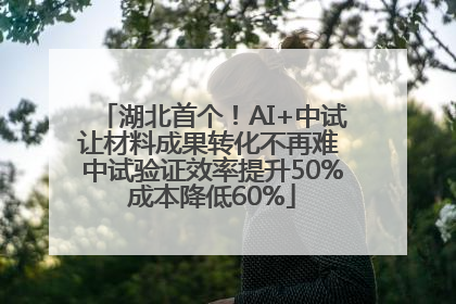湖北首个！AI+中试让材料成果转化不再难 中试验证效率提升50%成本降低60%