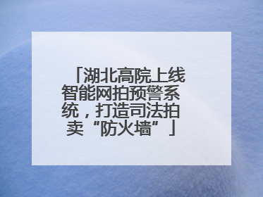 湖北高院上线智能网拍预警系统，打造司法拍卖“防火墙”