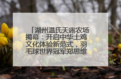 湖州温氏天露农场揭幕：开启中华土鸡文化体验新范式，羽毛球世界冠军郑思维助力品牌兴农