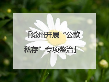 滁州开展“公款私存”专项整治
