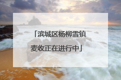 滨城区杨柳雪镇麦收正在进行中