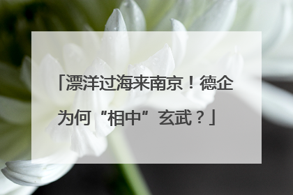 漂洋过海来南京！德企为何“相中”玄武？