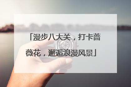 漫步八大关，打卡蔷薇花，邂逅浪漫风景