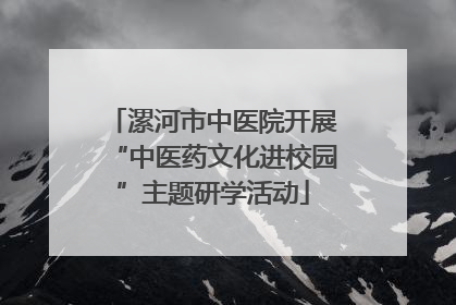 漯河市中医院开展“中医药文化进校园”主题研学活动