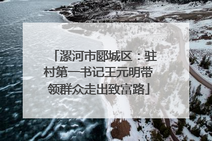 漯河市郾城区：驻村第一书记王元明带领群众走出致富路