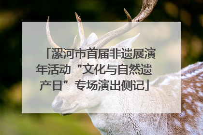 漯河市首届非遗展演年活动“文化与自然遗产日”专场演出侧记