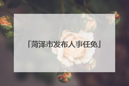 菏泽市发布人事任免