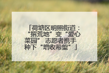 荷塘区明照街道：“撂荒地”变“爱心菜园” 志愿者携手种下“增收希望”