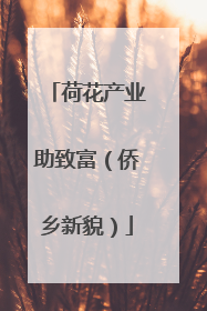 荷花产业助致富（侨乡新貌）