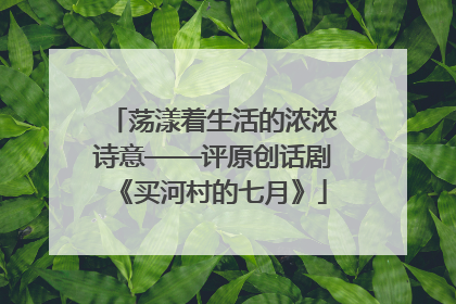 荡漾着生活的浓浓诗意——评原创话剧《买河村的七月》