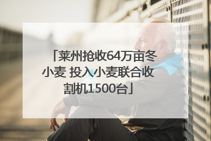 莱州抢收64万亩冬小麦 投入小麦联合收割机1500台
