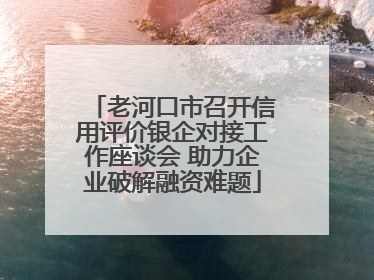 老河口市召开信用评价银企对接工作座谈会 助力企业破解融资难题