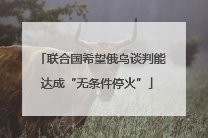 联合国希望俄乌谈判能达成“无条件停火”