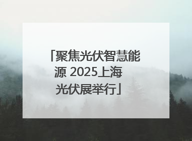 聚焦光伏智慧能源 2025上海光伏展举行