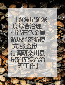 聚焦尾矿深度综合治理 打造有色金属循环经济新模式 张金良一行调研栾川县尾矿库综合治理工作