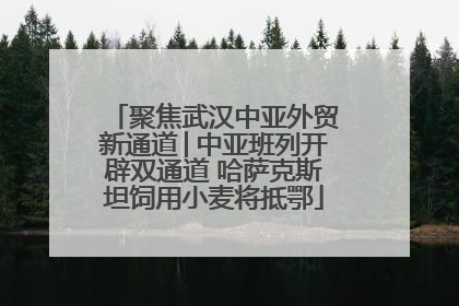 聚焦武汉中亚外贸新通道│中亚班列开辟双通道 哈萨克斯坦饲用小麦将抵鄂