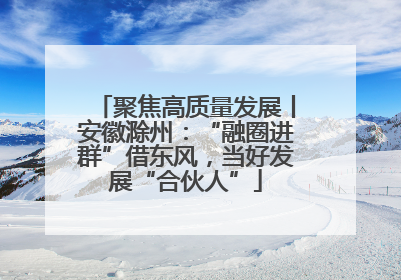 聚焦高质量发展丨安徽滁州：“融圈进群”借东风，当好发展“合伙人”