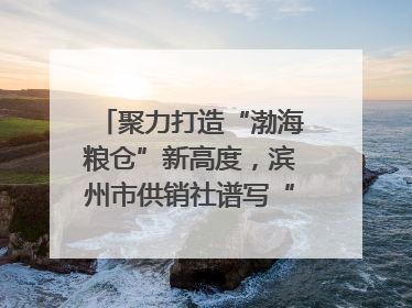 聚力打造“渤海粮仓”新高度，滨州市供销社谱写“三夏”丰收乐章