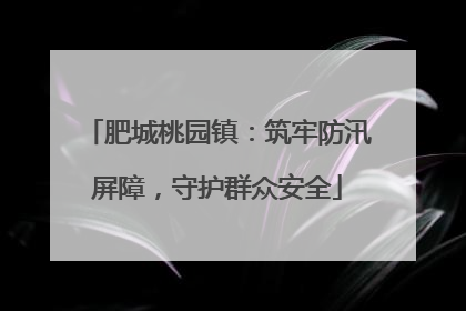 肥城桃园镇：筑牢防汛屏障，守护群众安全