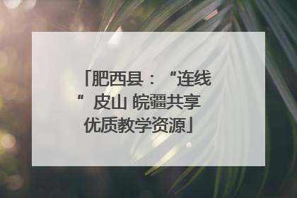 肥西县：“连线”皮山 皖疆共享优质教学资源