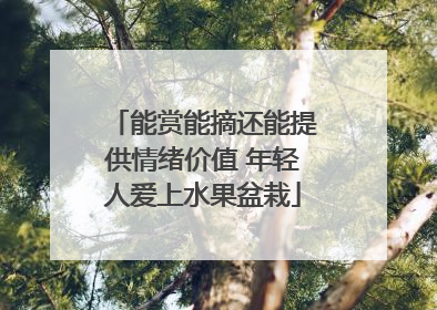 能赏能摘还能提供情绪价值 年轻人爱上水果盆栽