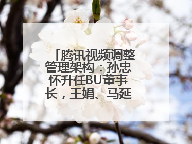 腾讯视频调整管理架构：孙忠怀升任BU董事长，王娟、马延琨任联席总裁