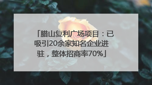 腊山复利广场项目：已吸引20余家知名企业进驻，整体招商率70%