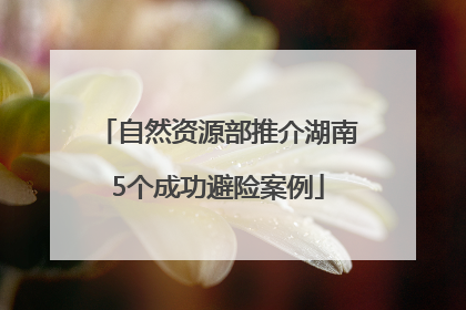 自然资源部推介湖南5个成功避险案例
