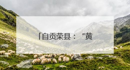 自贡荣县：“黄丝带爱心送考”志愿服务活动启动