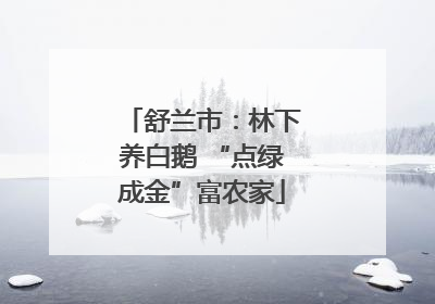舒兰市：林下养白鹅 “点绿成金”富农家