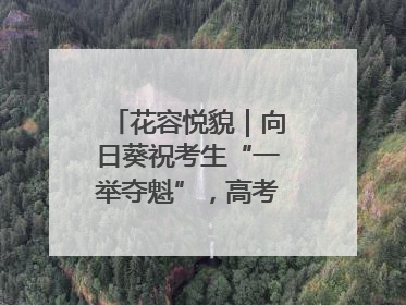 花容悦貌｜向日葵祝考生“一举夺魁”，高考带动鲜花热潮