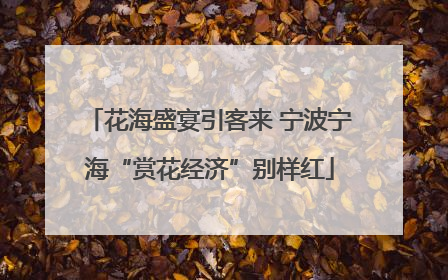 花海盛宴引客来 宁波宁海“赏花经济”别样红