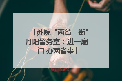 苏皖“两省一街”丹阳警务室：进一扇门 办两省事