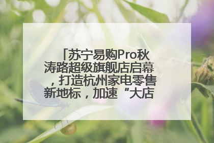 苏宁易购Pro秋涛路超级旗舰店启幕，打造杭州家电零售新地标，加速“大店攻略”全省布局