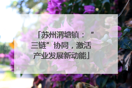 苏州渭塘镇：“三链”协同，激活产业发展新动能