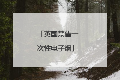 英国禁售一次性电子烟