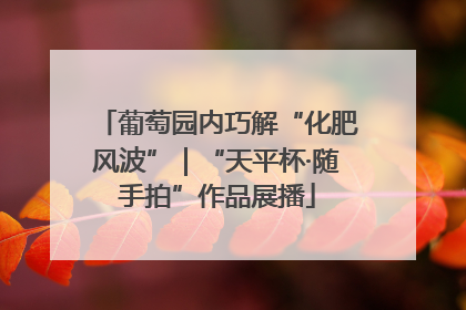 葡萄园内巧解“化肥风波”｜“天平杯·随手拍”作品展播