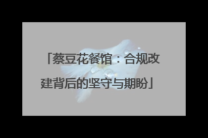 蔡豆花餐馆：合规改建背后的坚守与期盼
