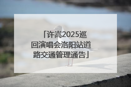 许嵩2025巡回演唱会洛阳站道路交通管理通告