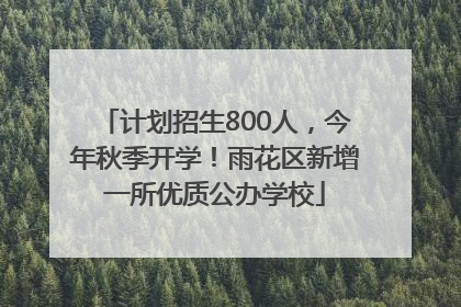 计划招生800人，今年秋季开学！雨花区新增一所优质公办学校