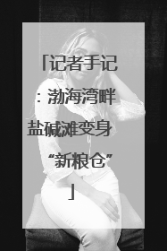 记者手记：渤海湾畔盐碱滩变身“新粮仓”
